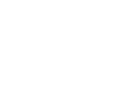 Tourist Office Prague Logo icon